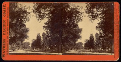 Tree-lined Street View of San Gabriel, California by Carleton E. Watkins